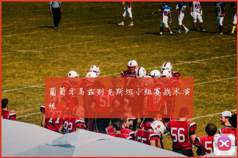 葡萄牙乌兹别克斯坦小组赛战术演练