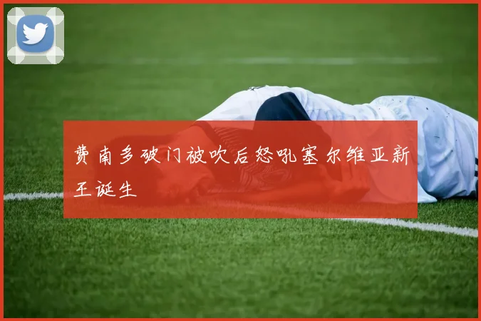 费南多破门被吹后怒吼塞尔维亚新王诞生