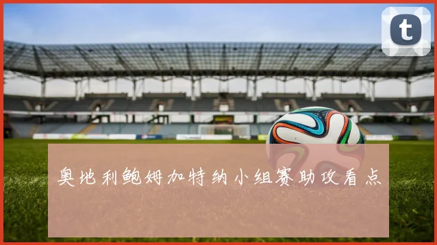 奥地利鲍姆加特纳小组赛助攻看点