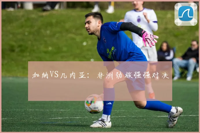 加纳VS几内亚：非洲劲旅强强对决