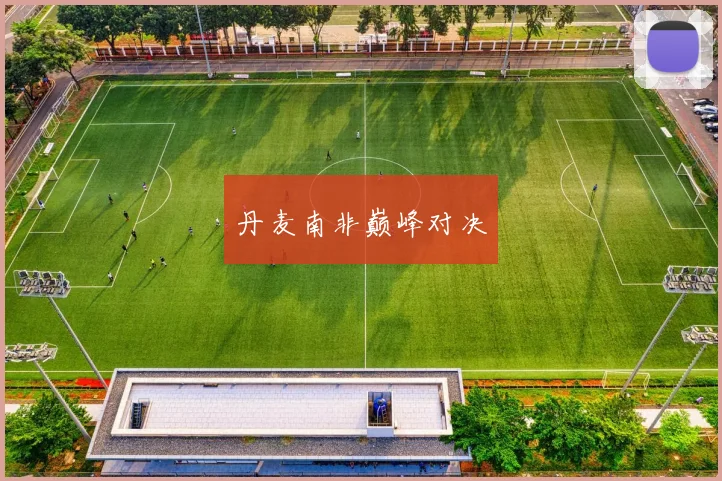 丹麦南非巅峰对决