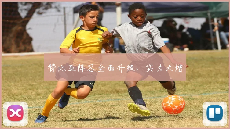 赞比亚阵容全面升级,实力大增