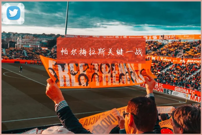帕尔梅拉斯关键一战
