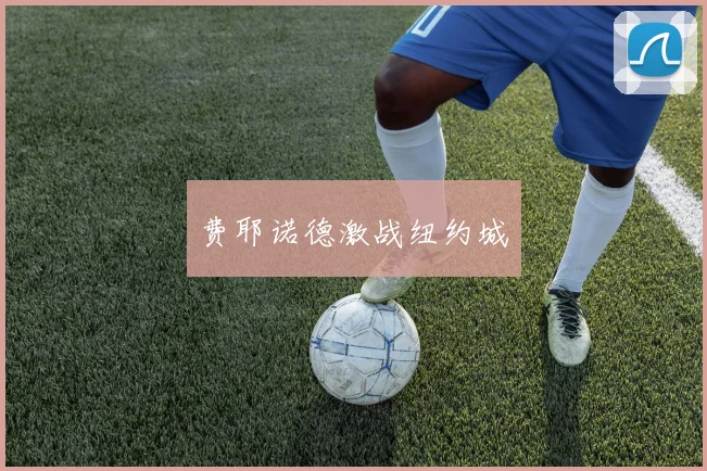 费耶诺德激战纽约城