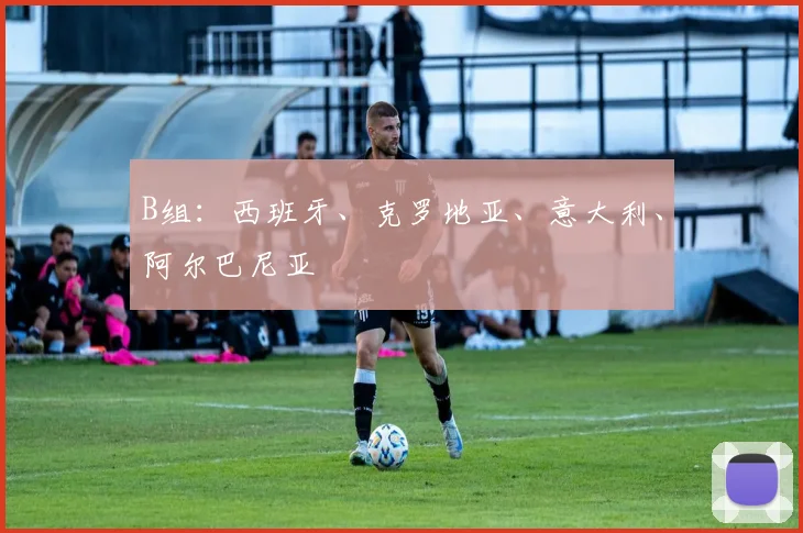 B组：西班牙、克罗地亚、意大利、阿尔巴尼亚