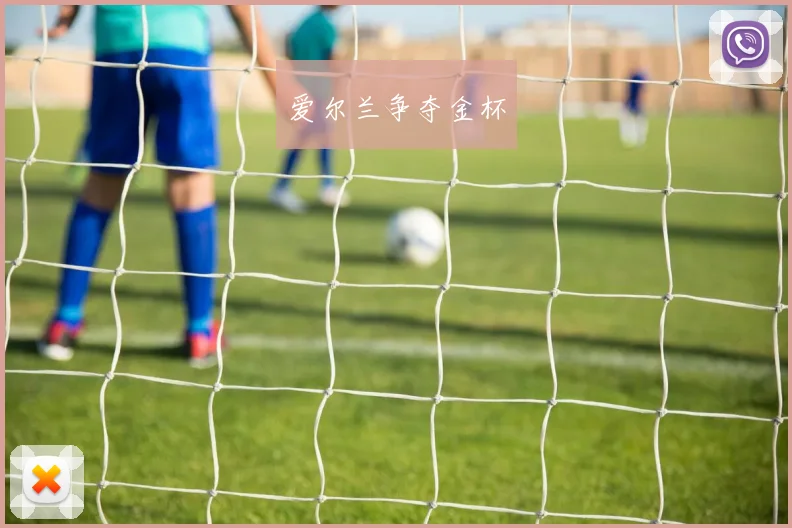 爱尔兰争夺金杯