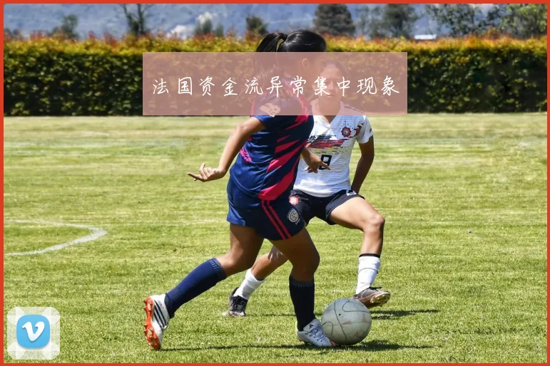 法国资金流异常集中现象