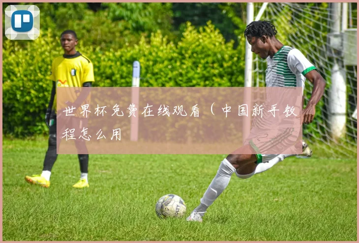 世界杯免费在线观看（中国新手教程怎么用