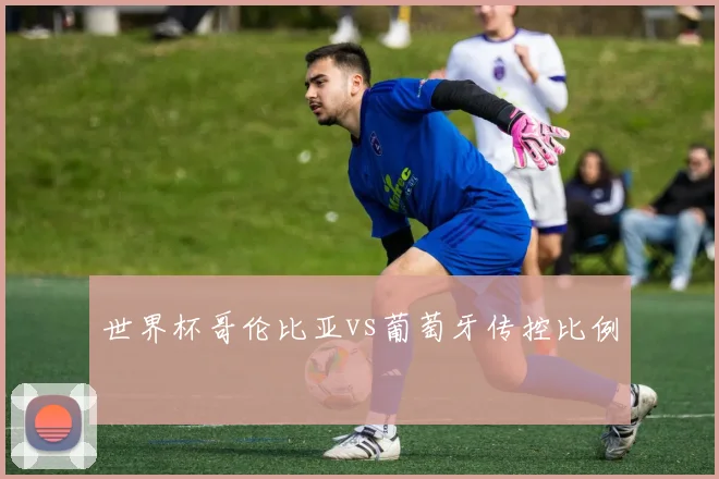 世界杯哥伦比亚vs葡萄牙传控比例