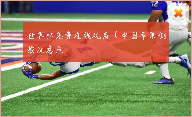 世界杯免费在线观看（中国苹果侧载注意点