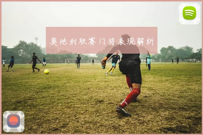 奥地利联赛门将表现解析